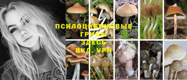 кокаин колумбия Вязьма