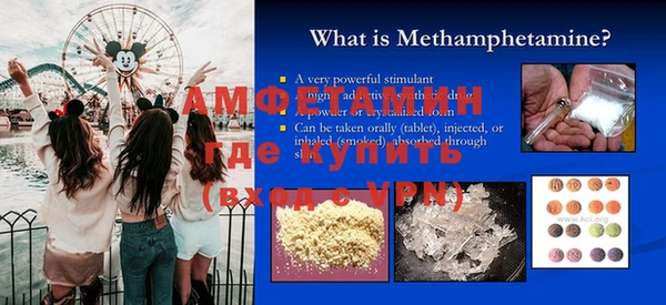 шишки Магас