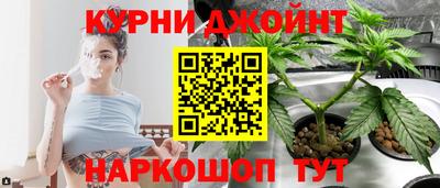 спиды Аргун