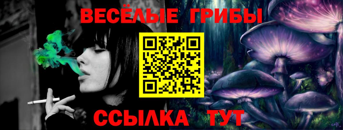 Псилоцибиновые грибы Psilocybe  Галлюциногенные грибы MAGIC MUSHROOMS  Нурлат 