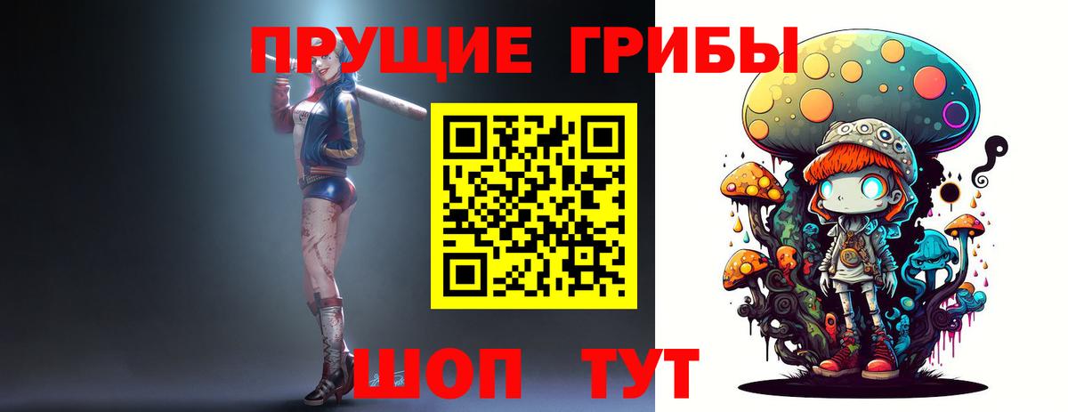 Нурлат  Псилоцибиновые грибы MAGIC MUSHROOMS  Вход с VPN  Псилоцибиновые грибы ЛСД 
