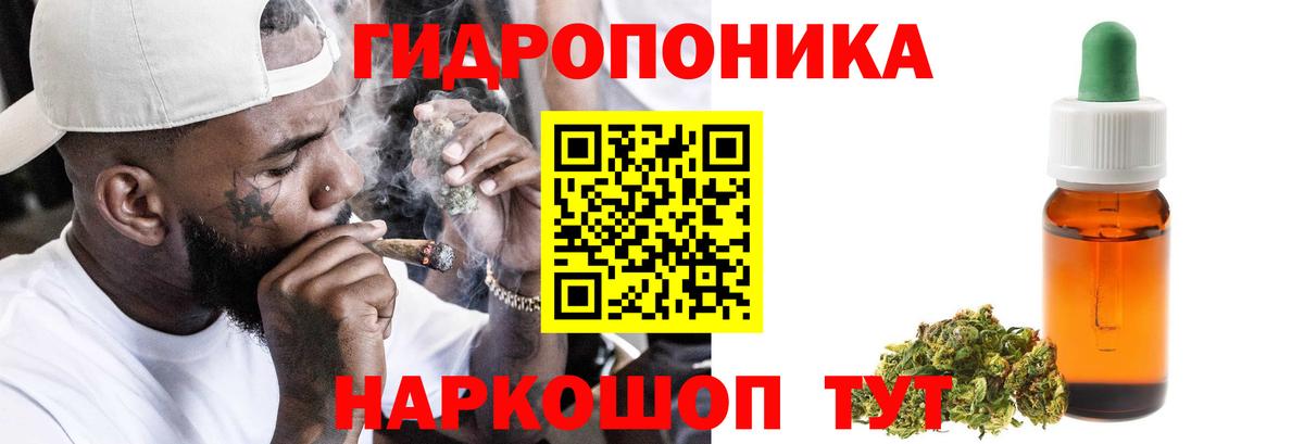 Шишки марихуана план Нурлат